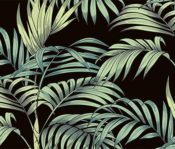 Bosque Negro Mat 60x30