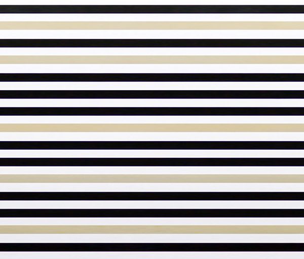 Ornamento Camisa 60x30