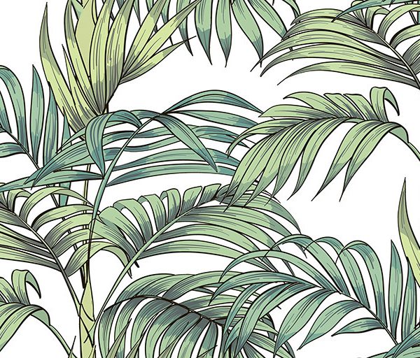 Bosque Blanco Mat 60x30