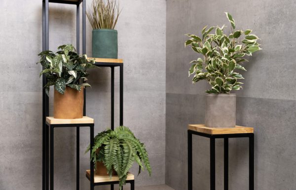 08d7ebf9e601d9e336764056af8d9b49966675a3_GRS.259A.M_wiz2.jpg 08d7ebf9e601d9e336764056af8d9b49966675a3_GRS.259A.M_wiz2.jpg