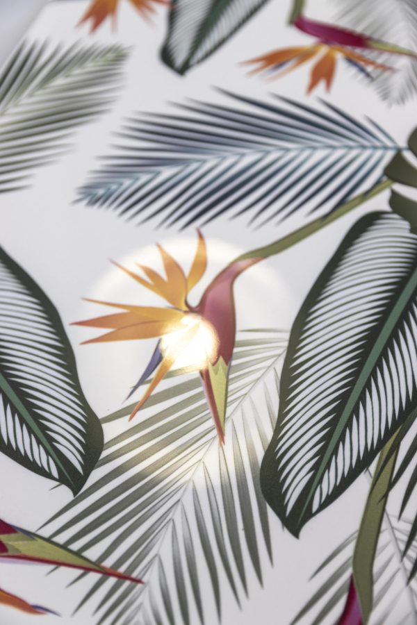 6463ed933f983d0ca9c50bd2739a6c75bae94810_Prado_Strela_1290_web 6463ed933f983d0ca9c50bd2739a6c75bae94810_Prado_Strela_1290_web