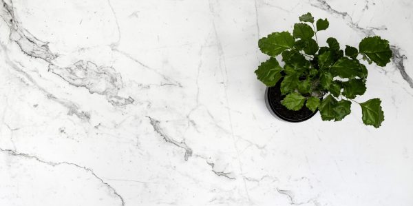 cf580cf096488c04e0cb55d1b17dc5a478ceac52_GRS.694A.M_zblizenie1 cf580cf096488c04e0cb55d1b17dc5a478ceac52_GRS.694A.M_zblizenie1