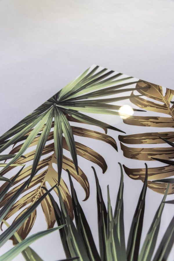 df1dff1c91de888f24e6cade233ed2b3444e2421_Nature_Leaf_1411_web df1dff1c91de888f24e6cade233ed2b3444e2421_Nature_Leaf_1411_web