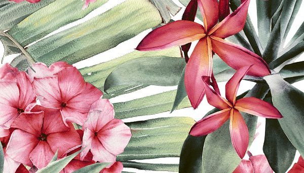 Allda Manantia A 90x30