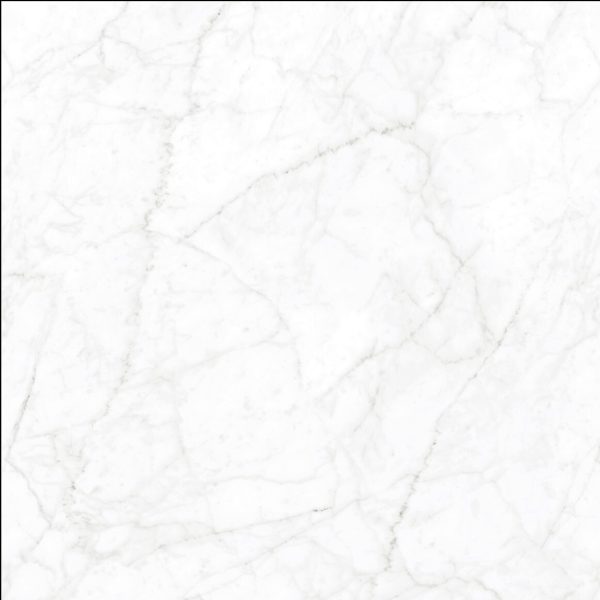 Lilium Bianca Poler 60x60