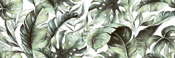 Green tropical leaves on white background. Watercolor hand paint