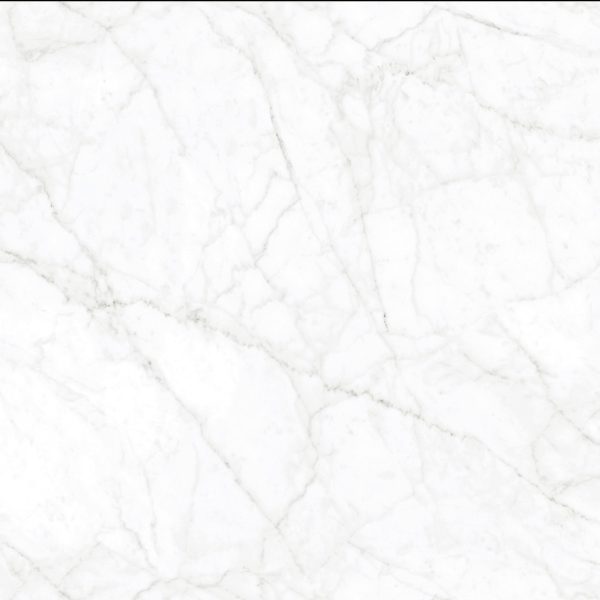 Lilium Bianca Poler 120x60