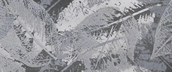 Di Carta Black Leaves 120x30x0;5