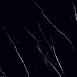 57d0ddf44d07197e0cae766170345007